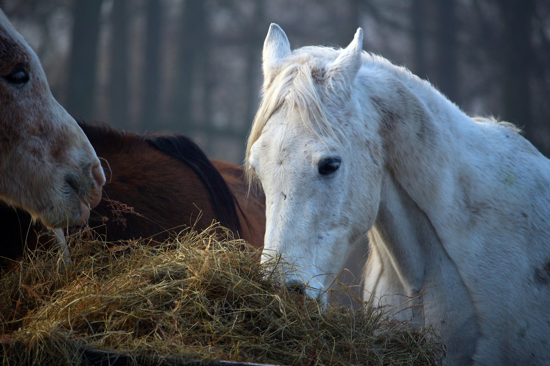 Huisregels