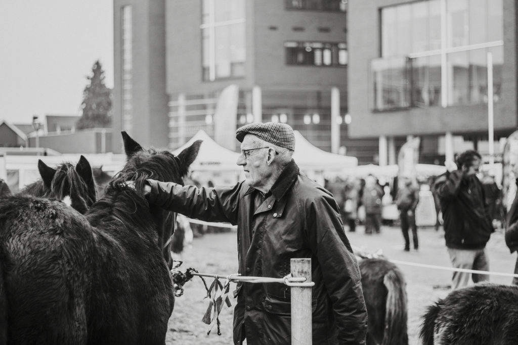 Meld je aan voor de Paardenmarkt
